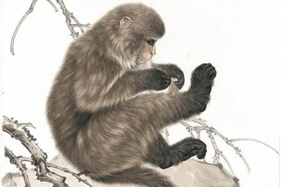 Số trời định sẵn: 3 tuổi gặp đại hạn trong năm 2023 làm quần quật vẫn nghèo, 1 tuổi lên hương giàu có