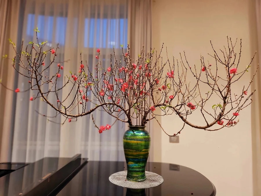 Mẹo giúp hoa đào nở bung cánh suốt 10 ngày Tết, chồi non nảy lộc đơm bông tua tủa-1