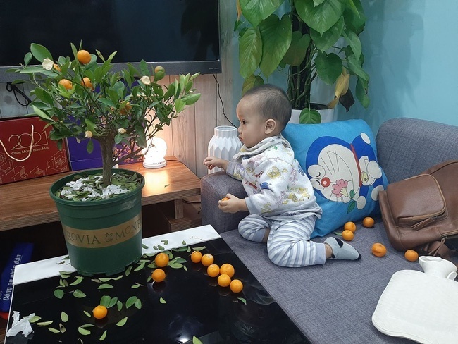 Nhờ các em bé trông hộ cây quất trang trí Tết, nhìn kết quả dân tình cười ngất-2