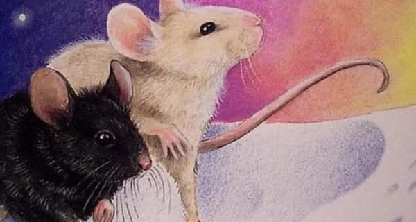 Tháng 1 dương: 4 tuổi xòe tay đón lộc Trời, của cải vào nhà nhiều không đếm xuể-1