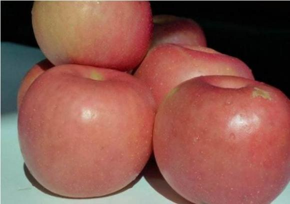 Có một bí quyết chọn táo, hãy ghi nhớ một mẹo nhỏ, nhìn sơ qua có thể biết táo ngọt hay không, phương pháp rất hay, không học thì thật đáng tiếc-1