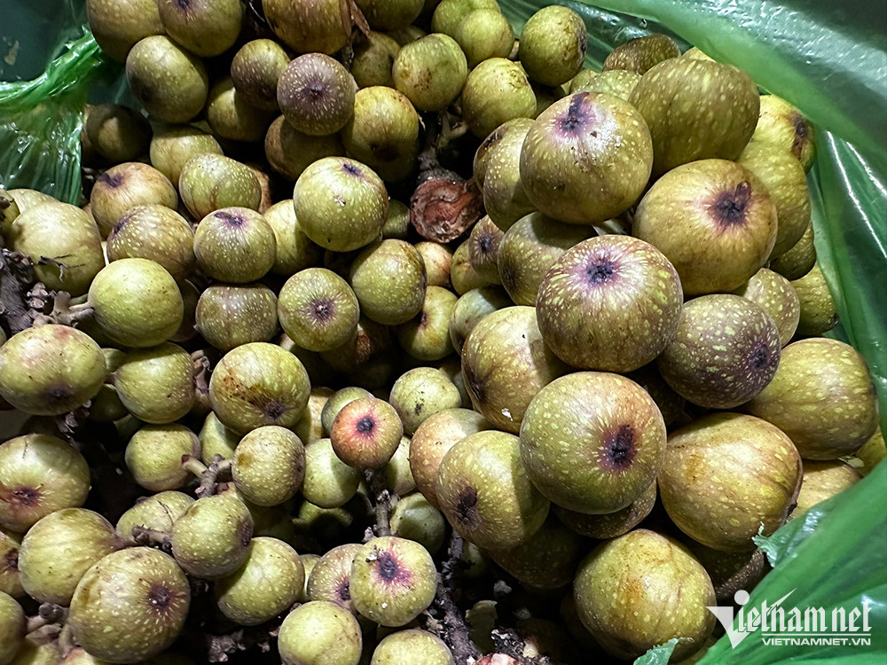 Loại quả thôn quê rẻ bèo, nay ở chợ Tết thành hàng đắt đỏ, kiều bào cũng tìm mua-2