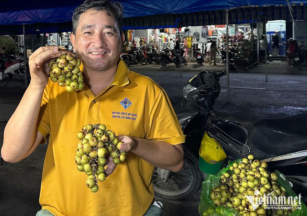 Loại quả thôn quê rẻ bèo, nay ở chợ Tết thành hàng đắt đỏ, kiều bào cũng tìm mua-3