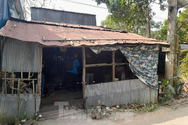 Hạo Nam đã về!-1