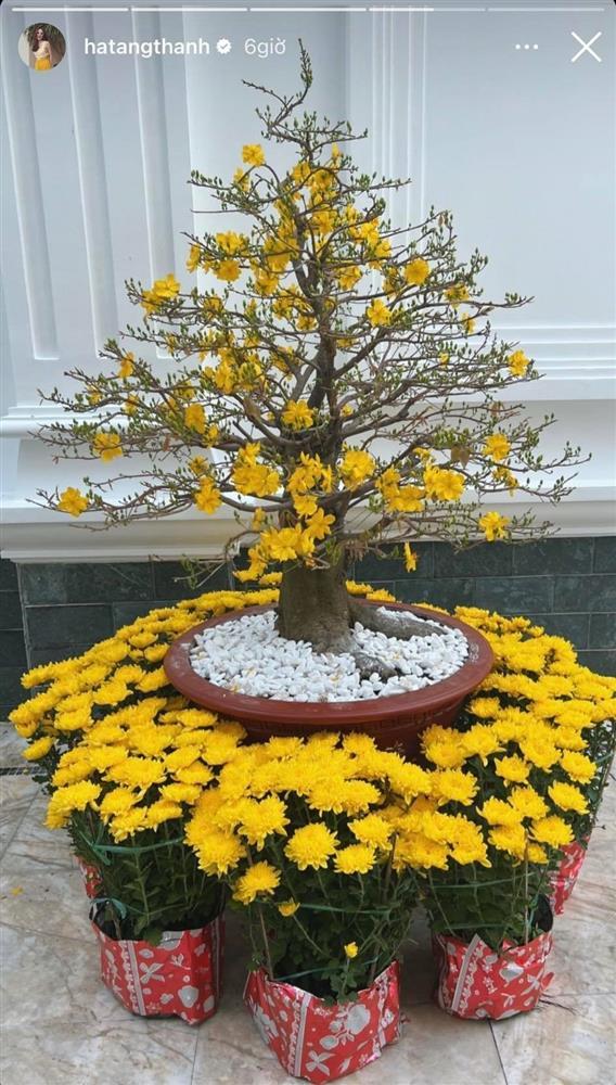 Lóa mắt cơ ngơi trăm tỷ của Hà Tăng nhân dịp Tết Nguyên đán-4