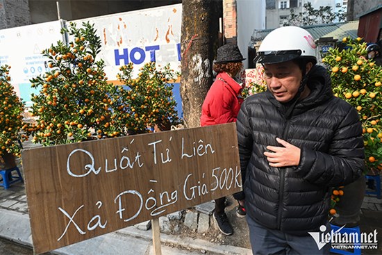 Cắt tóc gội đầu quá tải, trông giữ chó mèo 'cháy' phòng ngày Tết