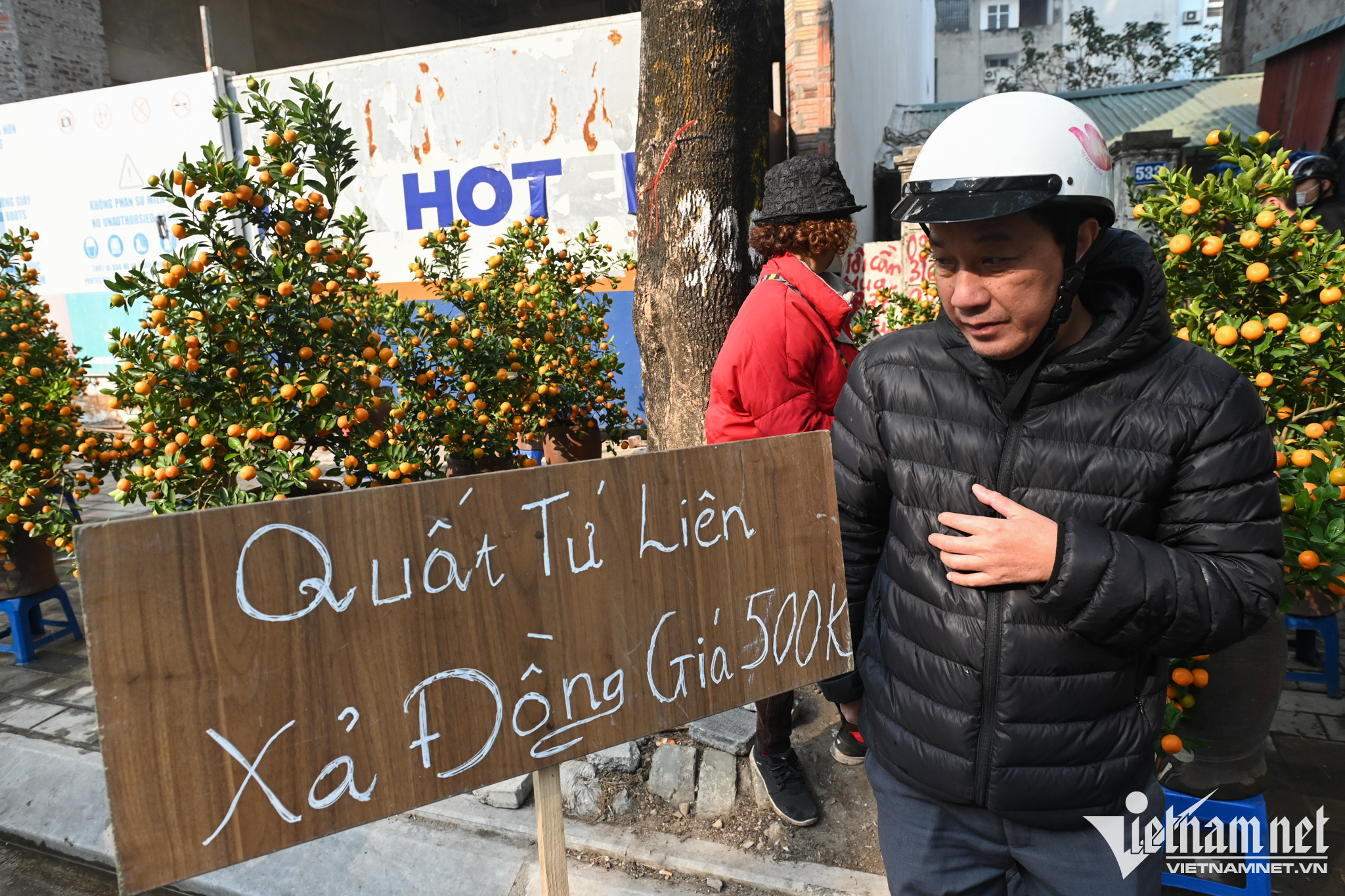 Cắt tóc gội đầu quá tải, trông giữ chó mèo cháy phòng ngày Tết-2