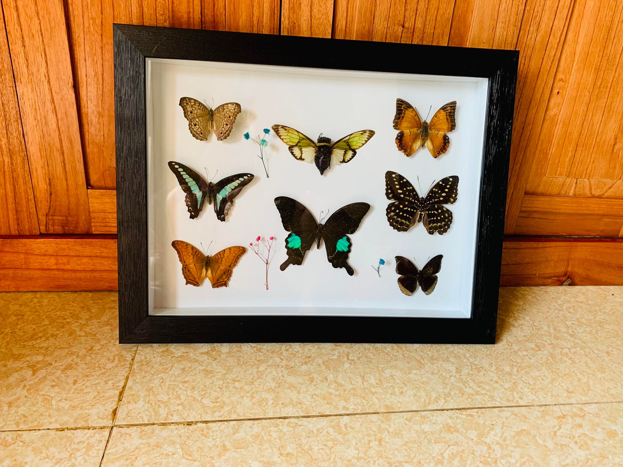 Bắt côn trùng về làm thứ này, cô nàng 9x bán giá cả triệu đồng/sản phẩm-5