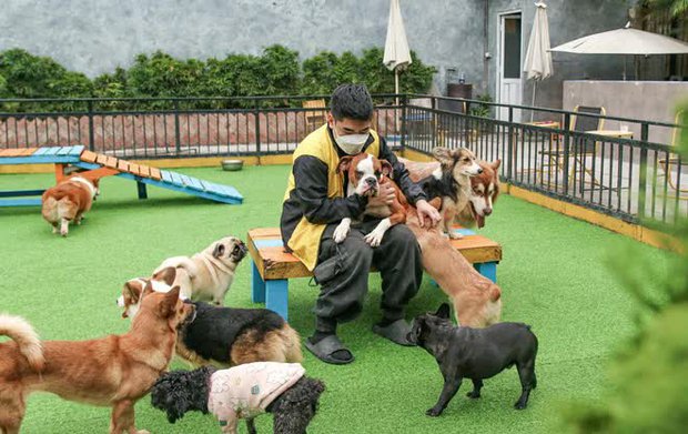 Khách sạn thú cưng cháy phòng dịp Tết-11