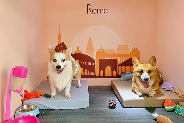 Cập nhật giá rau củ quả tại chợ dân sinh ngày mùng 2 Tết Nguyên đán 2023-5