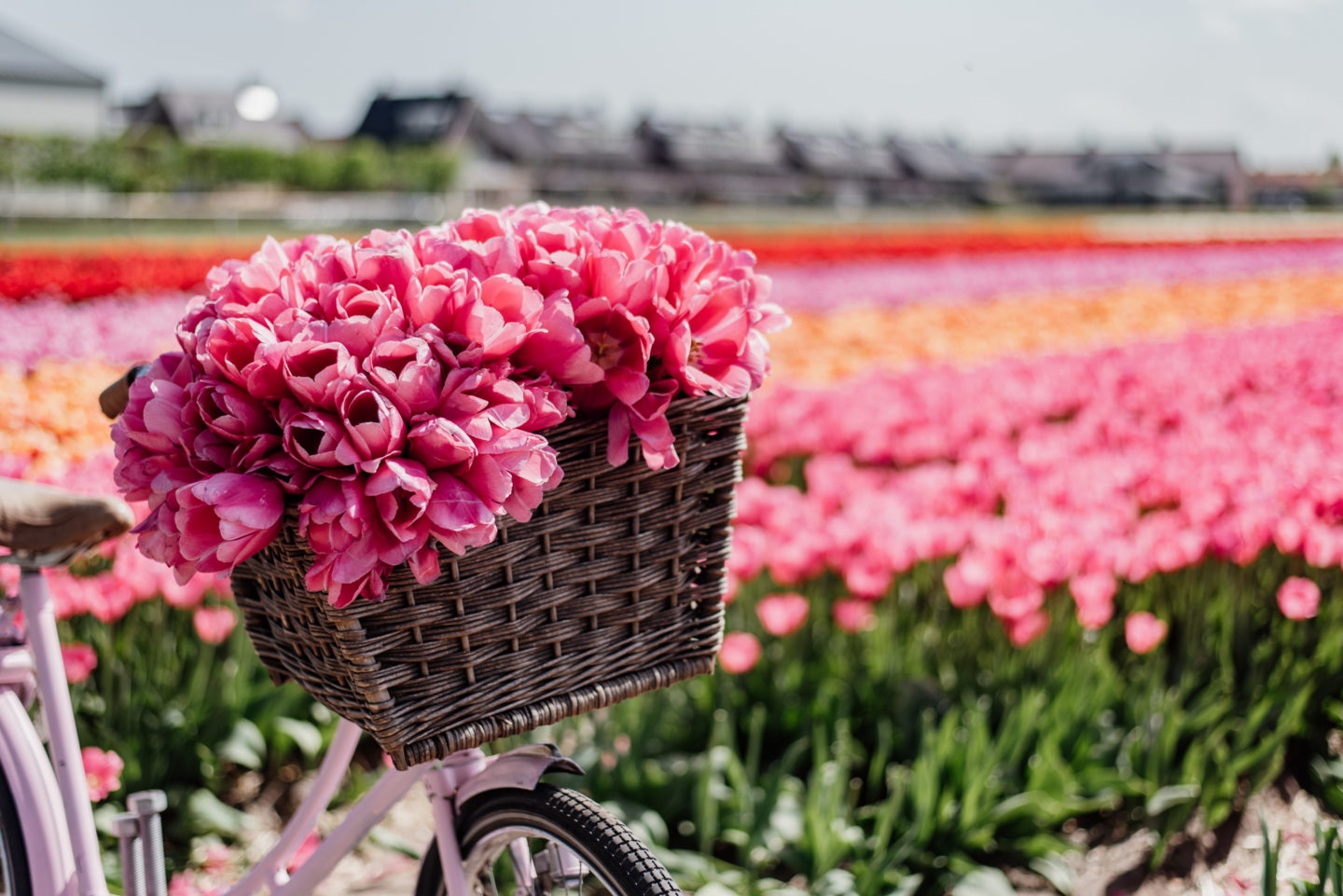 3 con giáp tình duyên rực rỡ trong năm Quý Mão 2023-3