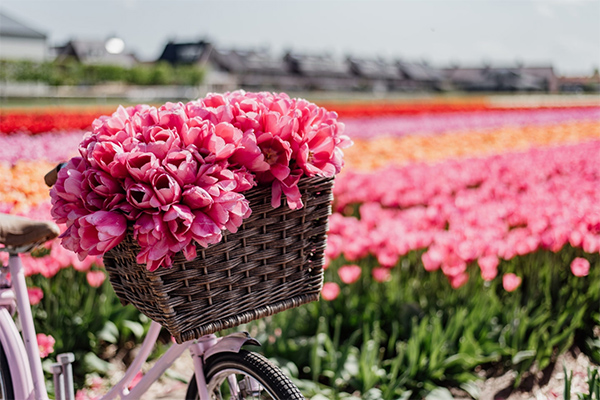 Từ mùng 1 Tết đến mùng 7 Tết, Thần tài điểm tên những con giáp phát tài, trúng lớn-4