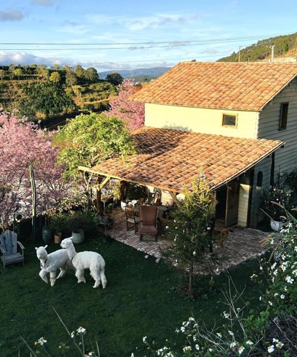 Chàng trai xây nhà để nghỉ dưỡng trên Đà Lạt, nhìn đẹp như một bức tranh-1