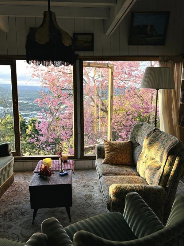 Chàng trai xây nhà để nghỉ dưỡng trên Đà Lạt, nhìn đẹp như một bức tranh-3