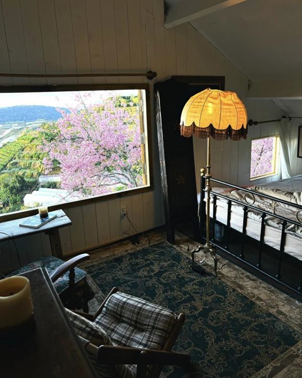 Chàng trai xây nhà để nghỉ dưỡng trên Đà Lạt, nhìn đẹp như một bức tranh-7