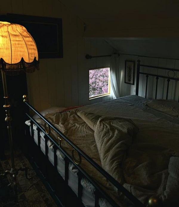 Chàng trai xây nhà để nghỉ dưỡng trên Đà Lạt, nhìn đẹp như một bức tranh-8