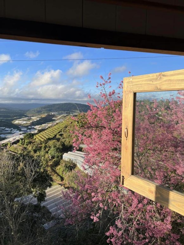 Chàng trai xây nhà để nghỉ dưỡng trên Đà Lạt, nhìn đẹp như một bức tranh-9