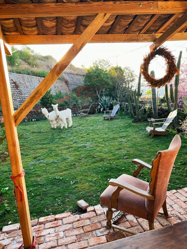 Chàng trai xây nhà để nghỉ dưỡng trên Đà Lạt, nhìn đẹp như một bức tranh-12