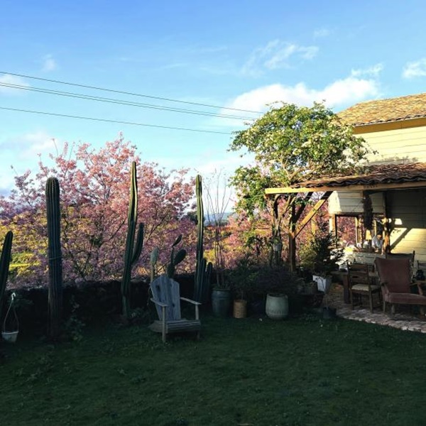 Chàng trai xây nhà để nghỉ dưỡng trên Đà Lạt, nhìn đẹp như một bức tranh-14