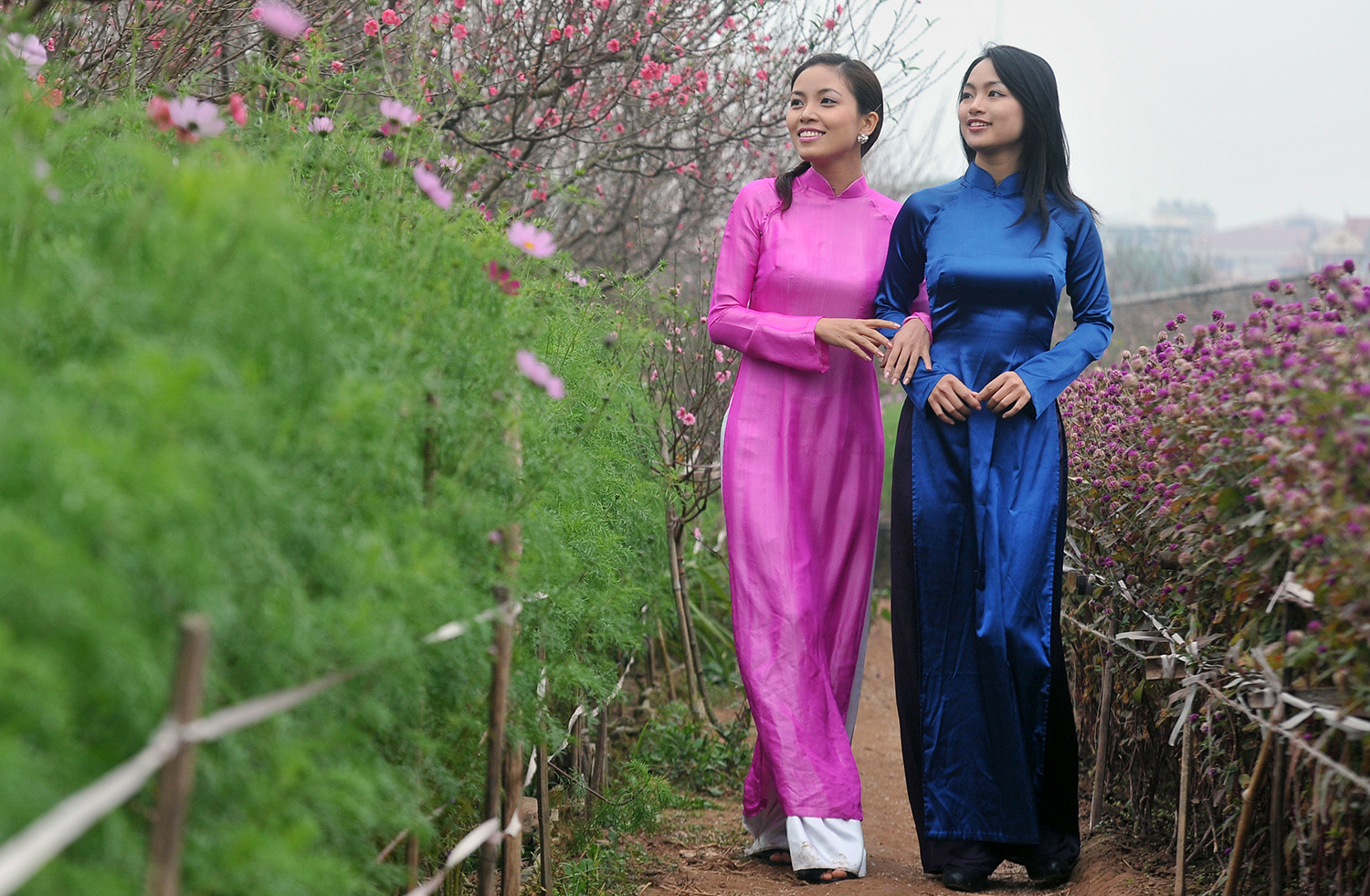 Chuyên gia chỉ cách hóa giải vận hạn cho người tuổi Tý, Sửu, Dần, Mão-2