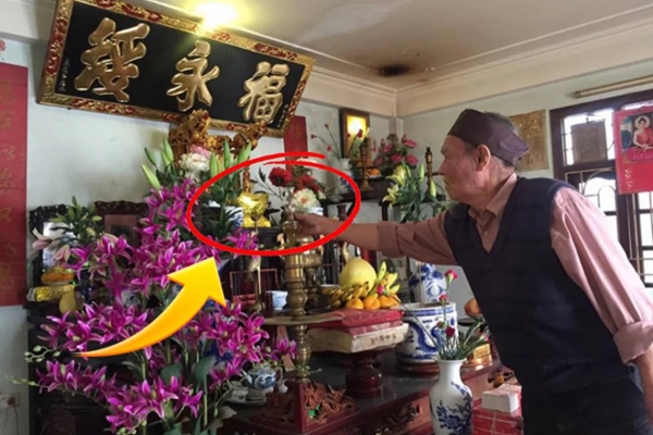 Người có gia đình hưng vượng đều trồng 4 loại hoa Phát tài và Nhân vượng này: Nghèo mấy cũng nên có một cây-5