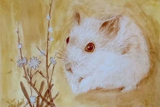 Phật Bà chỉ đích danh: 4 tuổi có căn phú quý, cuộc đời sung túc, gặp dữ hóa lành