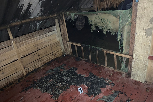 Ninh Bình bác tin du khách kẹt ở Tràng An tới nửa đêm-2