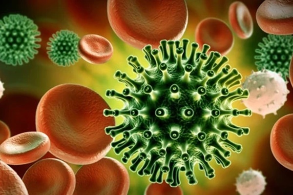 Những tác nhân virus gây bệnh mới nổi-1