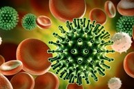 Những tác nhân virus gây bệnh mới nổi