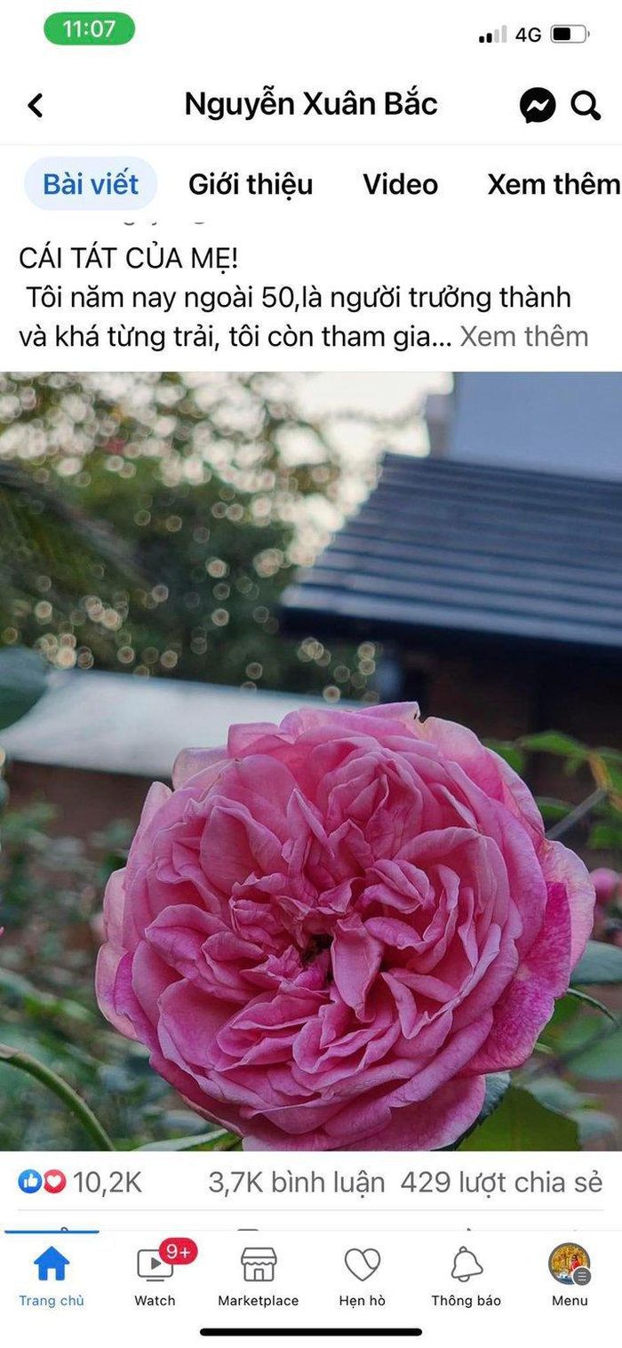 Xuân Bắc - sao lại im lặng vậy, lên tiếng đi chứ!-1