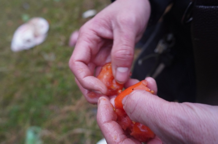 Cảnh Đánh nhau tưng bừng tại phiên chợ Chuộng độc nhất vô nhị ở xứ Thanh-9