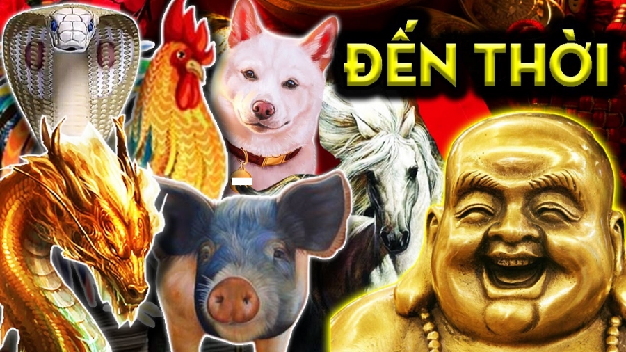 Gặp được mộng vàng”, chỉ qua một đêm có 3 tuổi ôm cả đống tiền, chuyển mình giàu to-1