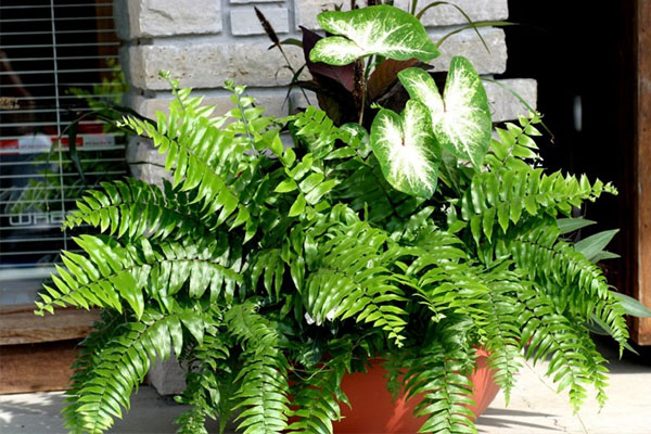 Không gian sống tiện nghi bất ngờ bên trong căn hộ 16m²-9