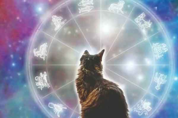 Từ 30/1 đến 18/2, vận may khó cưỡng, được Bồ Tát phù hộ, 3 con giáp phát tài phát lộc-4