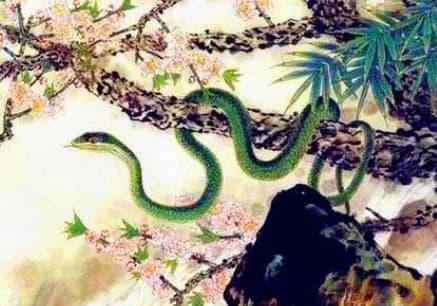 Từ 30/1 đến 18/2, vận may khó cưỡng, được Bồ Tát phù hộ, 3 con giáp phát tài phát lộc-1