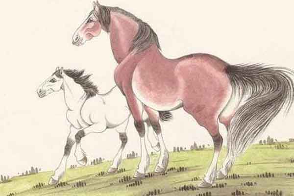 Tuần mới (31/1-5/2/2023): Thần tài phát lộc 3 con giáp trúng số, đổi đời sang trang giàu có-2