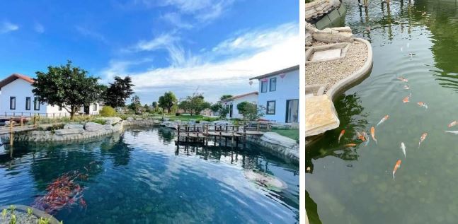 Biệt thự của Trường Giang - Nhã Phương: Rộng nghìn m2 giống công viên, khu vườn đủ loại rau xanh mướt-5