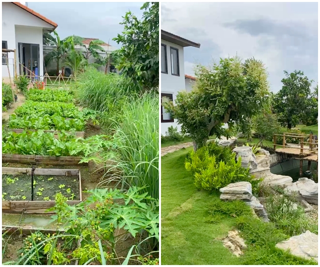 Biệt thự của Trường Giang - Nhã Phương: Rộng nghìn m2 giống công viên, khu vườn đủ loại rau xanh mướt-15