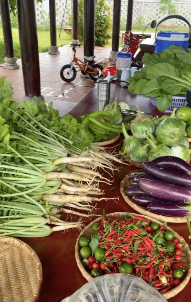 Biệt thự của Trường Giang - Nhã Phương: Rộng nghìn m2 giống công viên, khu vườn đủ loại rau xanh mướt-14