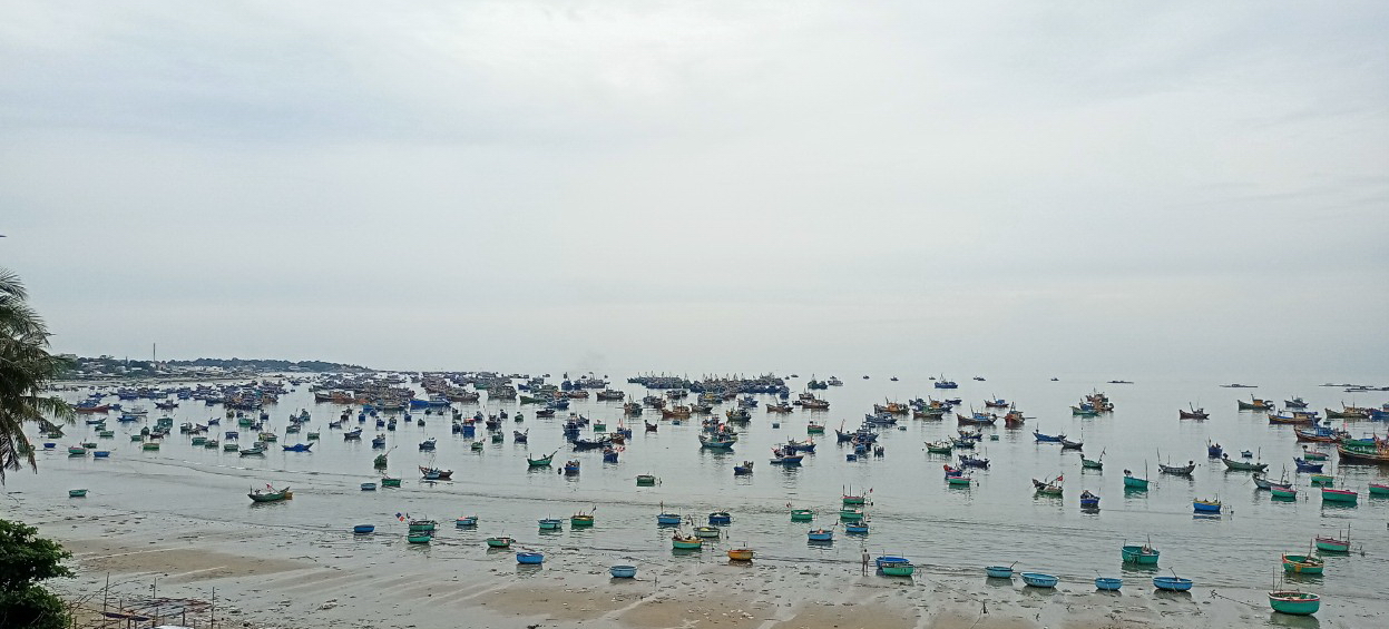Thu giữ cân buôn bán hải sản gian dối, một cán bộ phường Mũi Né bị chặn đường hành hung-1