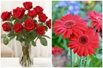 Ngày vía Thần Tài nhớ đặt 5 loại hoa này lên bàn thờ để cả năm nhận lộc, hứng trọn phú quý