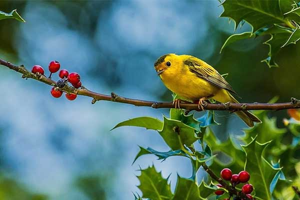 Ai sinh ngày Âm lịch này dám mạo hiểm đầu tư, kiên trì nỗ lực, thành công sẽ tự nhiên đến-1