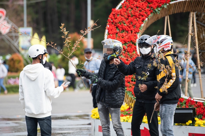 Phẫn nộ với hình ảnh nữ du khách trộm hoa cẩm tú cầu ở Măng Đen-2