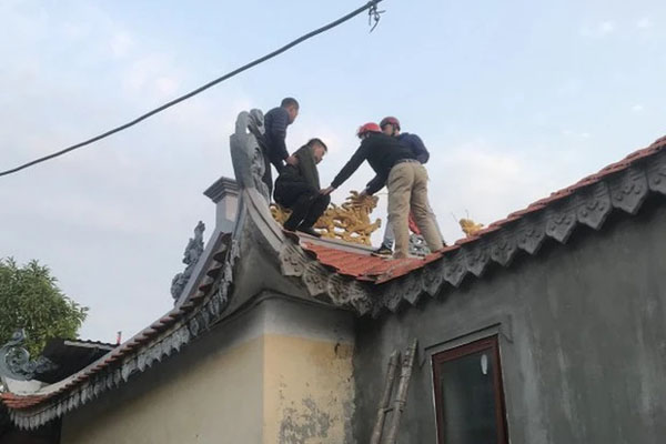 Đang bỏ trốn, Nguyễn Thị Thanh Nhàn AIC vẫn có đơn kháng cáo-3