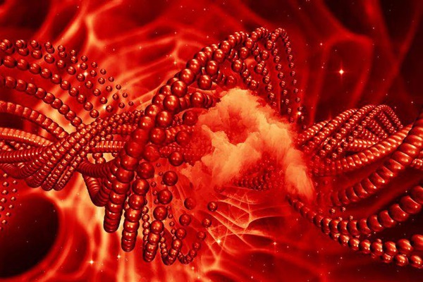 Nhật Bản công bố đột phá mới giúp tiêu diệt nhiều loại ung thư-1