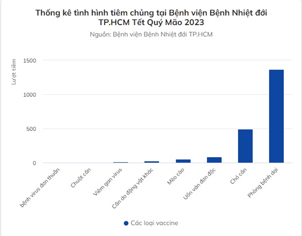 Nhiều người ở TP.HCM tiêm phòng dại do bị chó mèo cắn dịp Tết-2