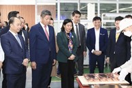Phó Bí thư Thường trực Thành ủy Nguyễn Thị Tuyến động viên sản xuất đầu năm tại huyện Chương Mỹ
