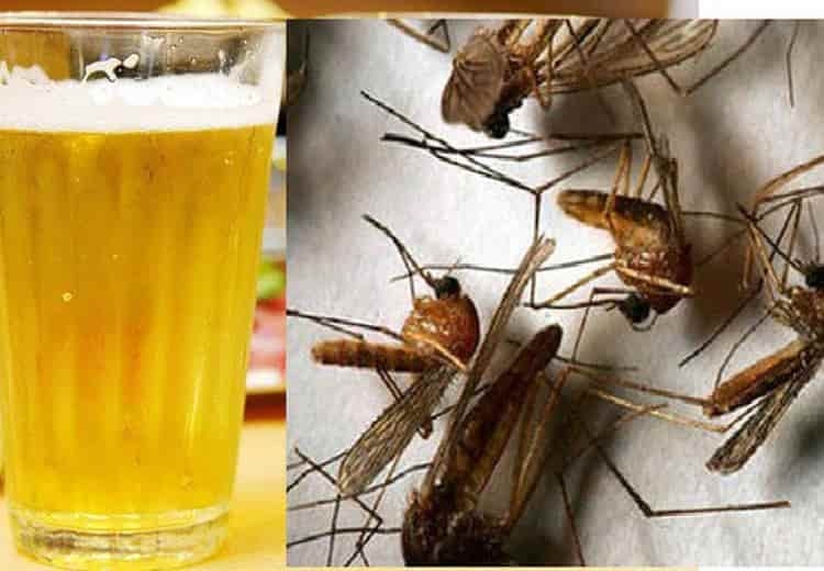 Chỉ với 1 lon bia uống dở, giải quyết rất nhiều vấn đề nhà nào cũng cần-1