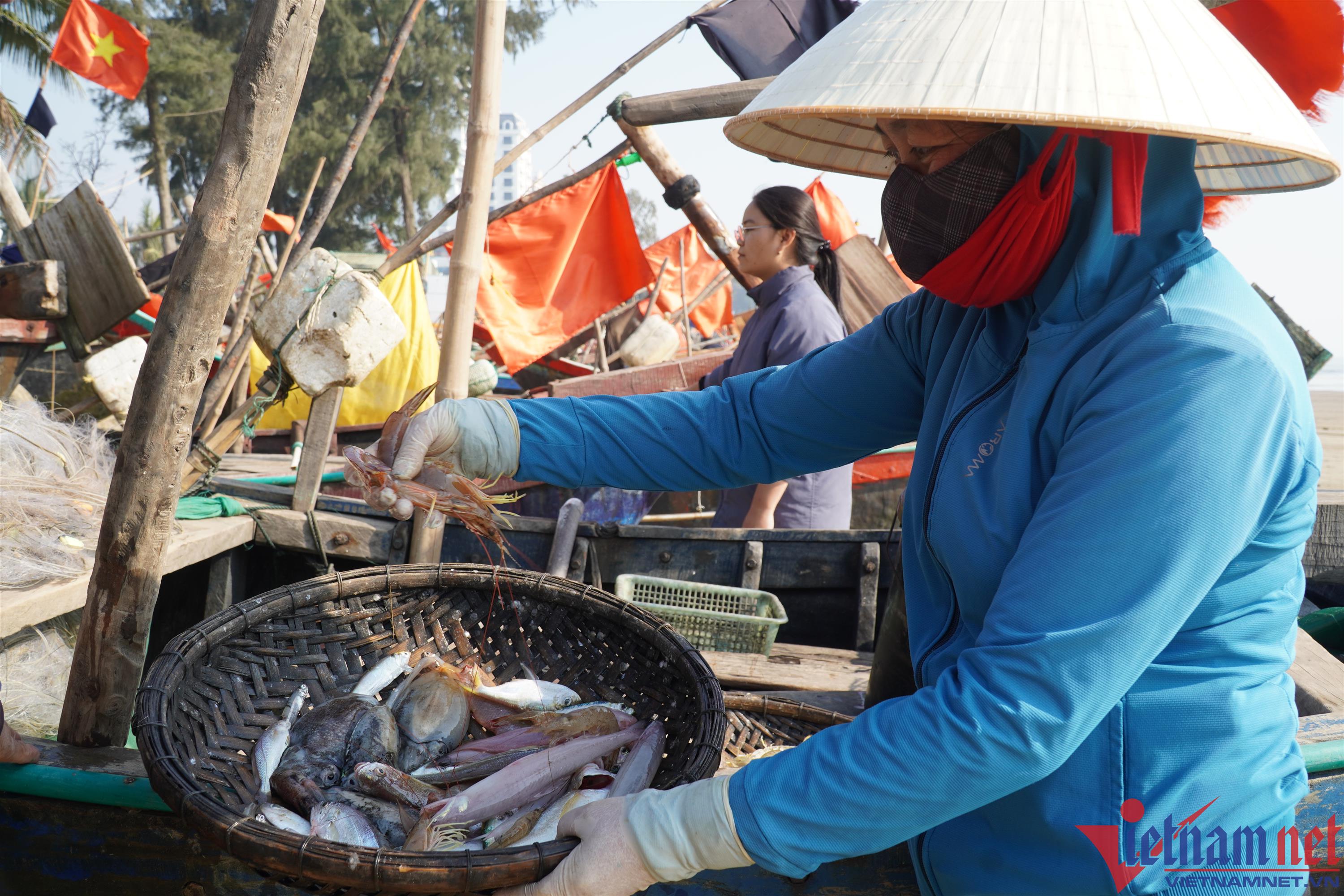 Hơn nửa triệu đồng một kg cá khoai, người dân tranh nhau mua-2