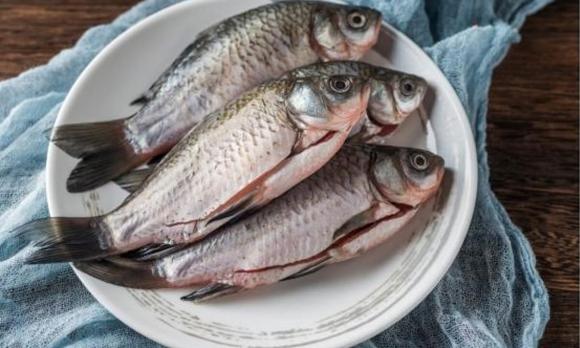 Khi mua cá diếc cần chú ý phân biệt giữa cá diếc đất và cá diếc ao-6